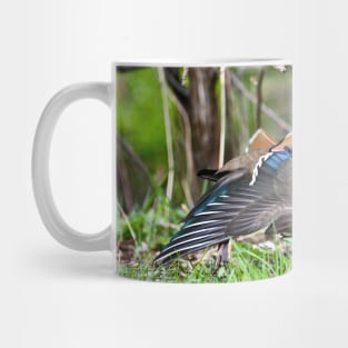 Mandarin Duck II / Swiss Artwork Photography Mug